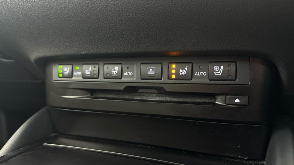 Heated / Cooling Seats