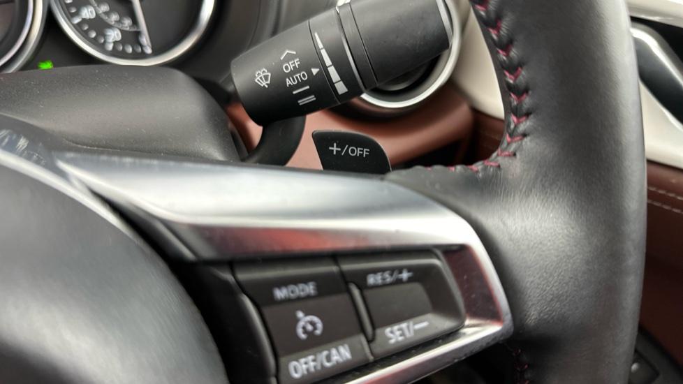 Paddle Shifters