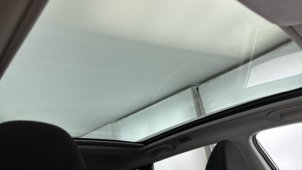 Panoramic Roof