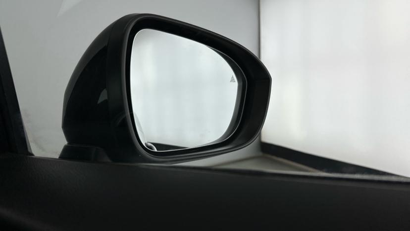 Blind Spot Monitoring System 