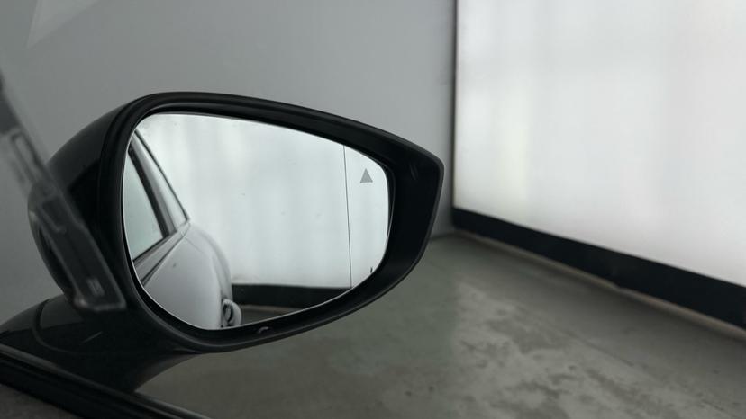 Blind Spot Monitoring System 