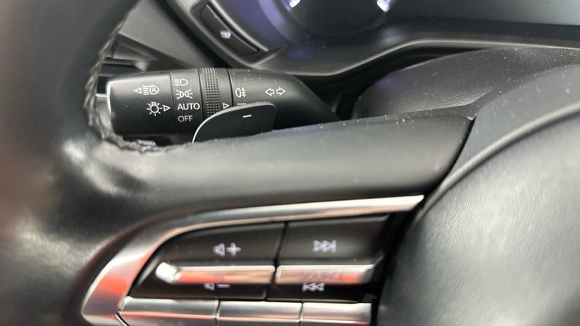 Paddle Shifters