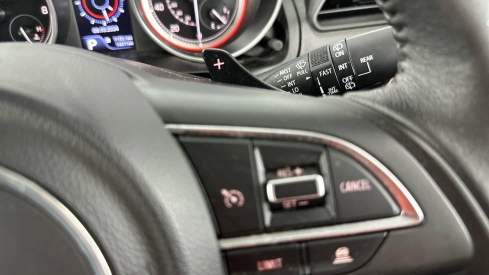 Paddle Shifters