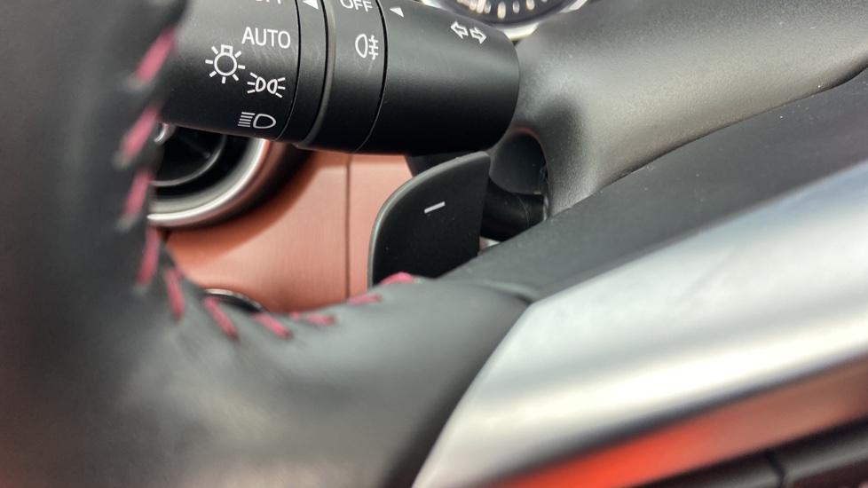 Paddle Shifters 