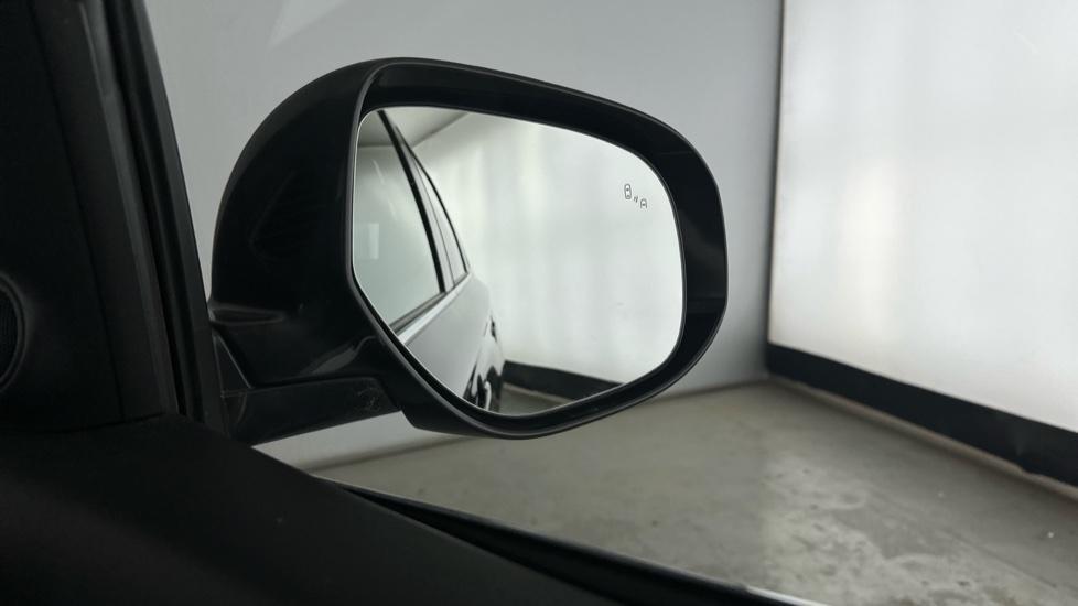 Blind Spot Monitoring System 