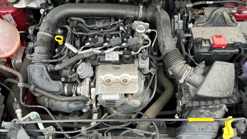 Gallery slide 16
