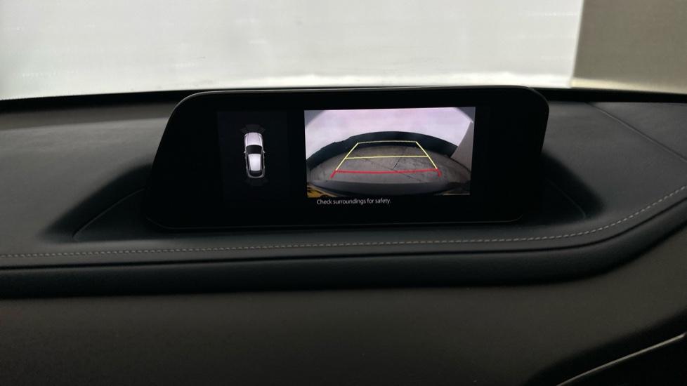 Rear view camera/Park Pilot 