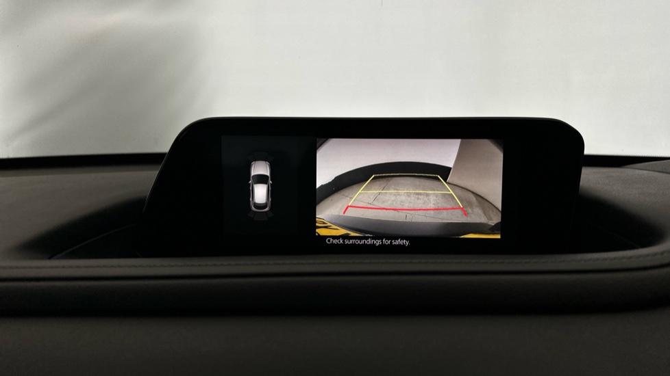 Rear View Camera/Park Pilot 