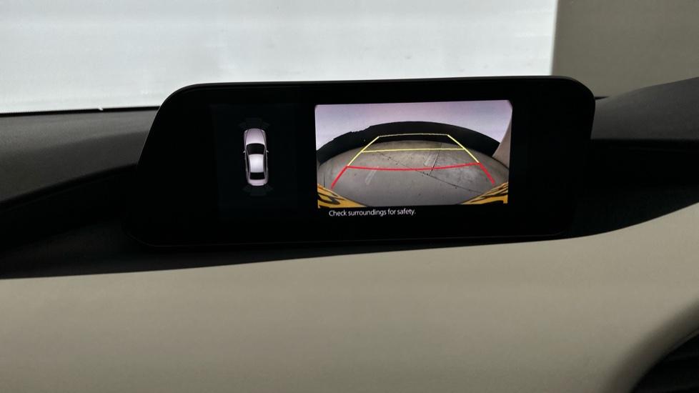 Rear view camera/Park Pilot 