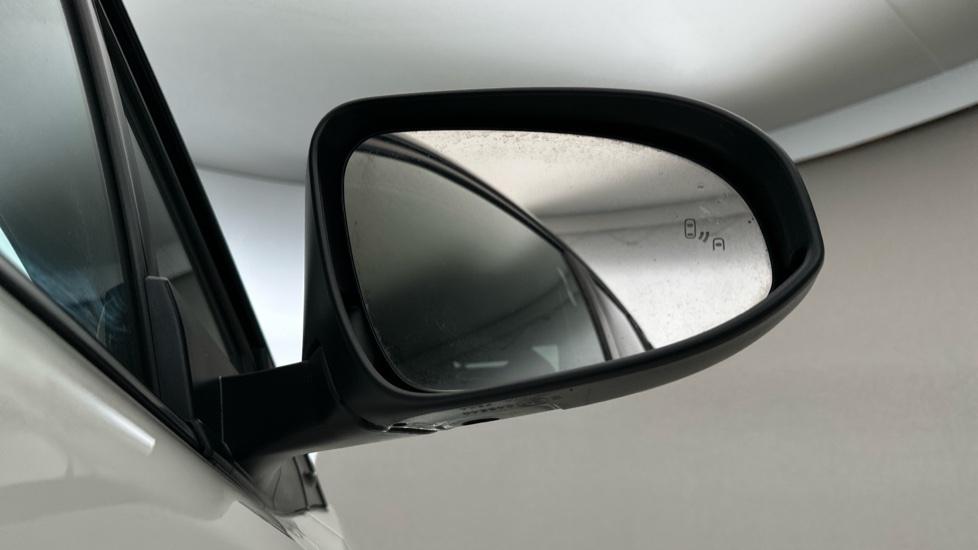 Blind Spot Monitoring System 