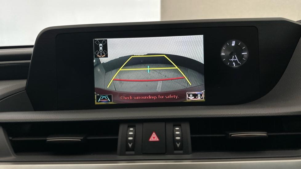 Rear View Camera/Park Pilot 