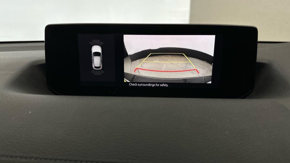 Rear View Camera/Park Pilot 