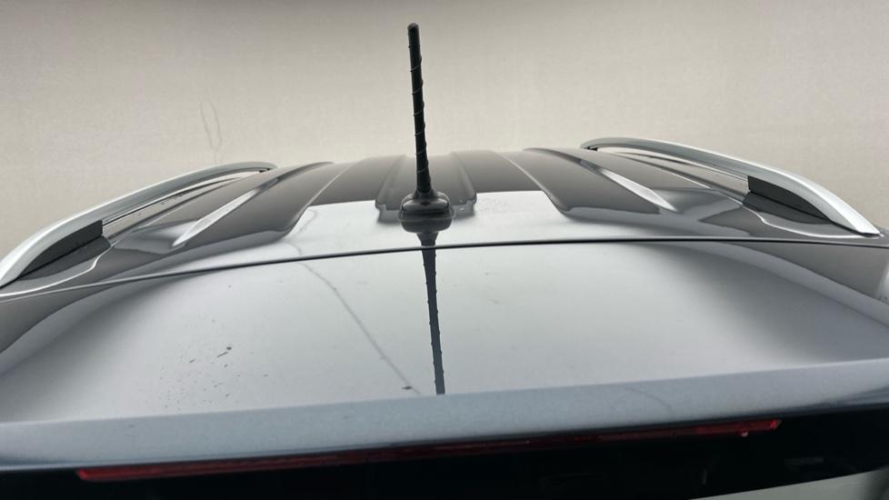 Roof Rails