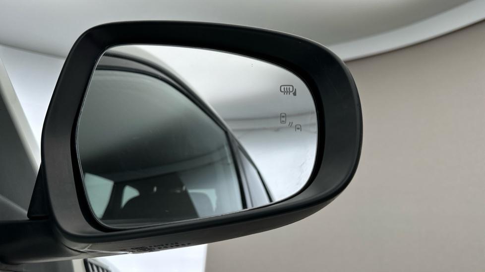 Blind Spot Monitoring System 