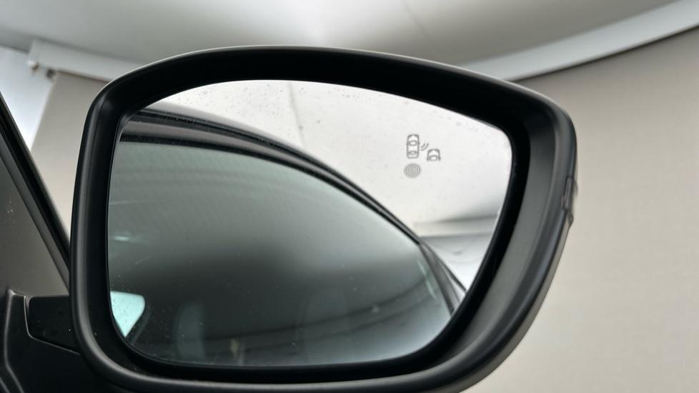 Blind Spot Monitoring System 