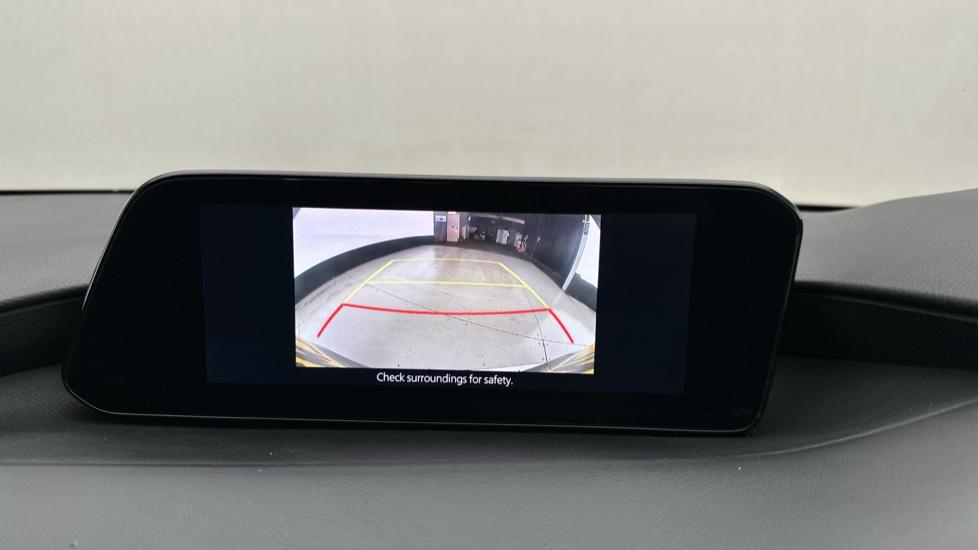 Rear View Camera/Park Pilot 