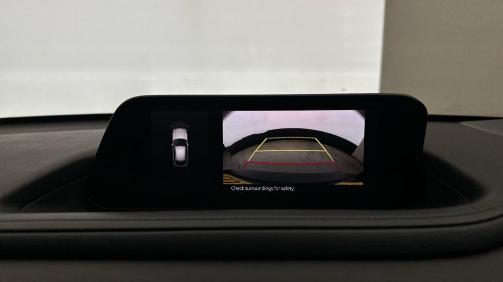 Rear View Camera/Park Pilot 