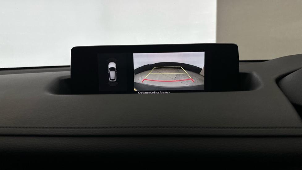 Rear view camera/Park Pilot 