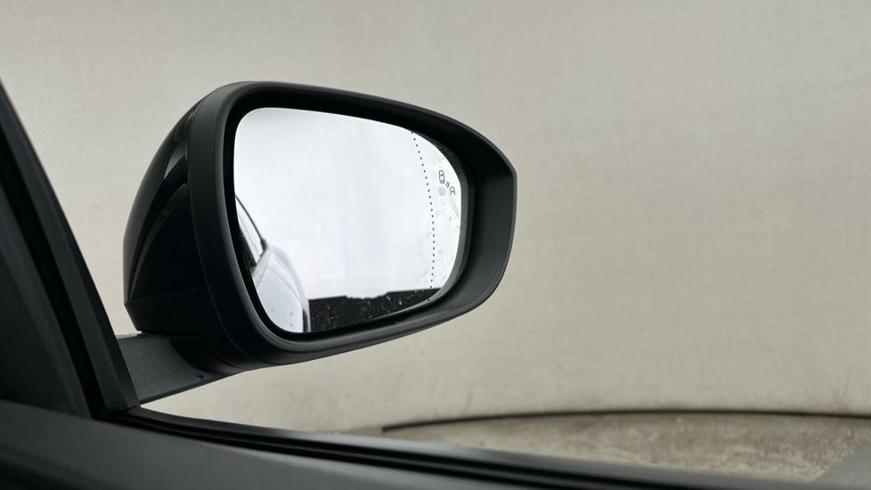 Blind Spot Monitoring System 