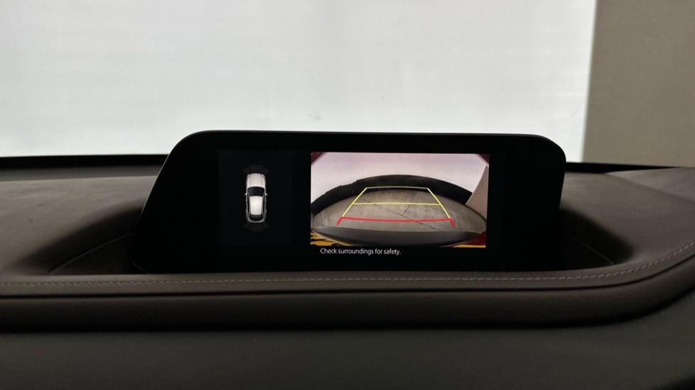 Rear view camera/Park Pilot 