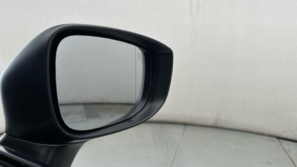 Blind Spot Monitoring System 