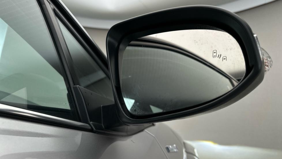 Blind Spot Monitoring System 