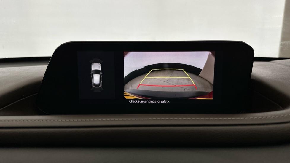 Rear view camera/Park Pilot 