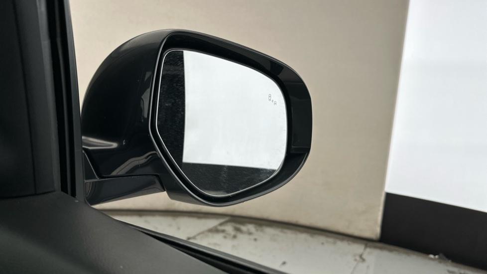 Blind Spot Monitoring System 