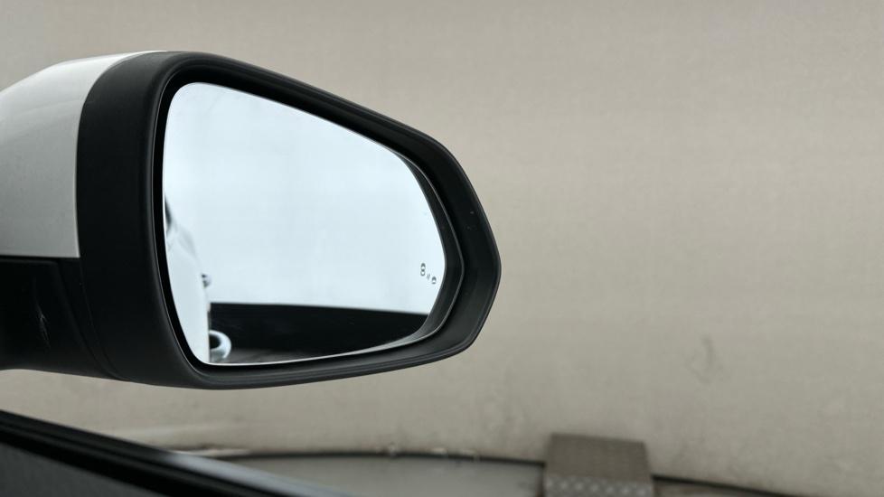 Blind Spot Monitoring System 