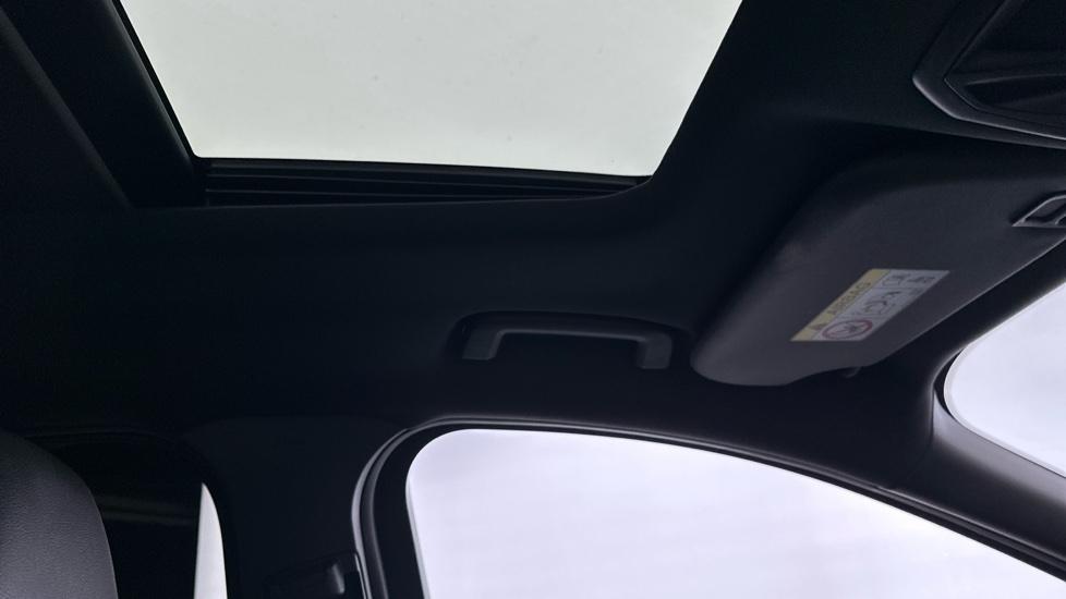 Panoramic Roof