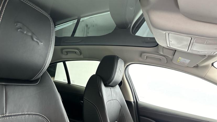 Panoramic Roof