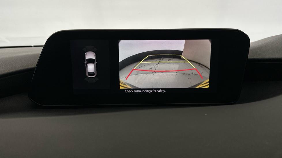 Rear view camera/Park Pilot 