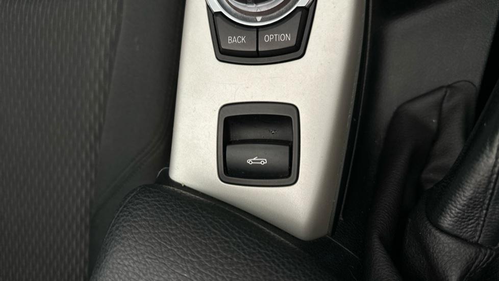 Convertible button 