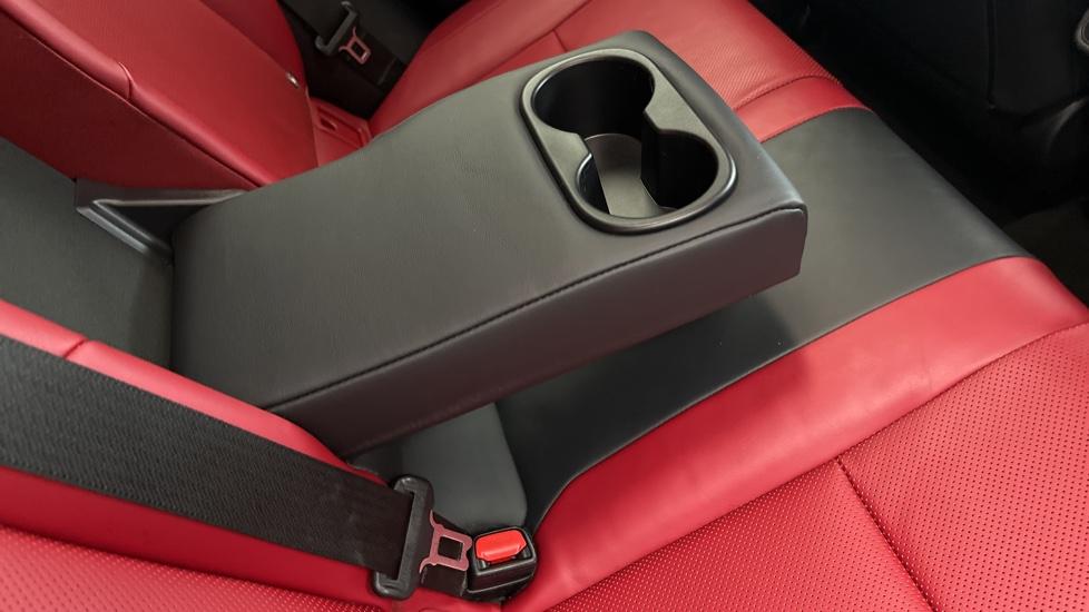 Rear Armrest/ Cup Holder