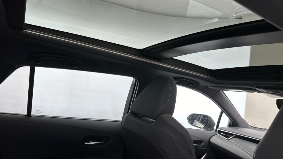 Panoramic Roof