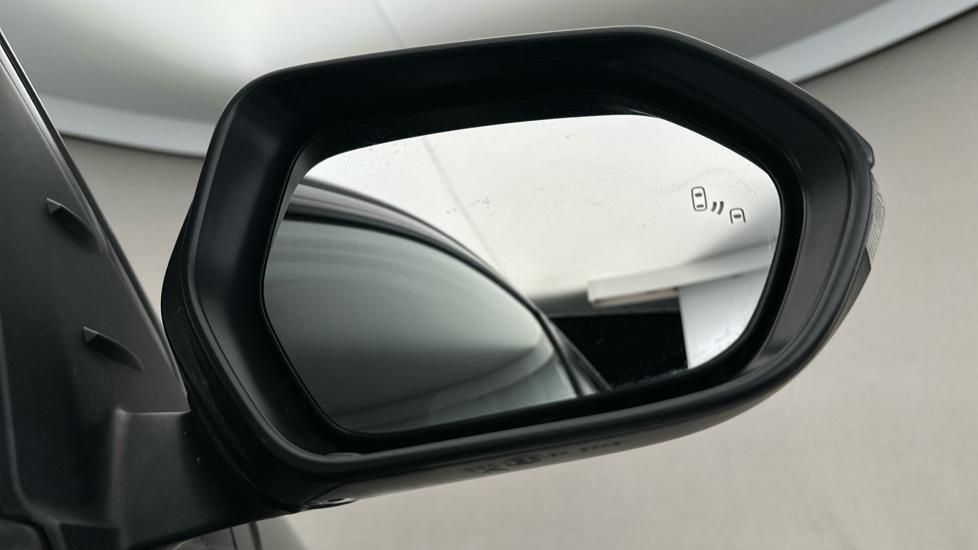 Blind Spot Monitoring System 