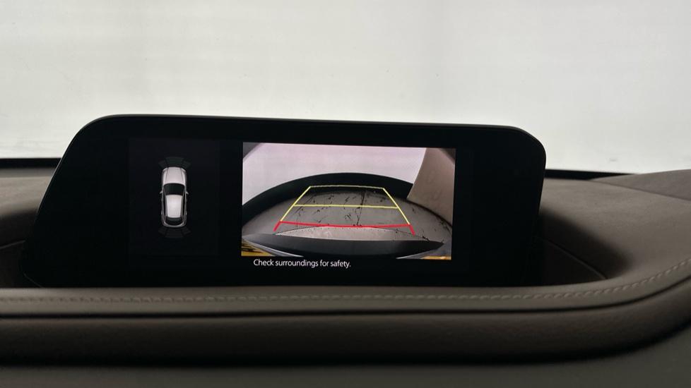 Rear view camera/Park Pilot 