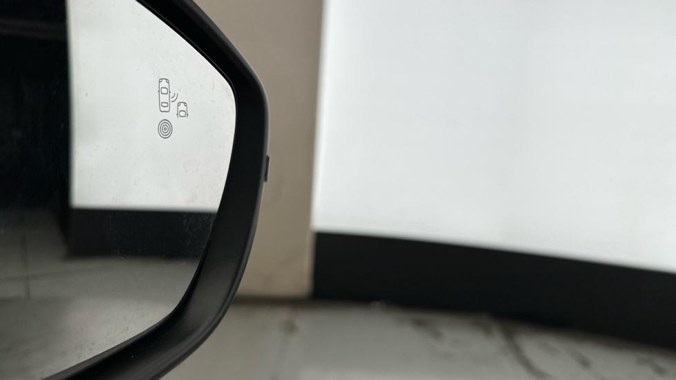 Blind Spot Monitoring System 