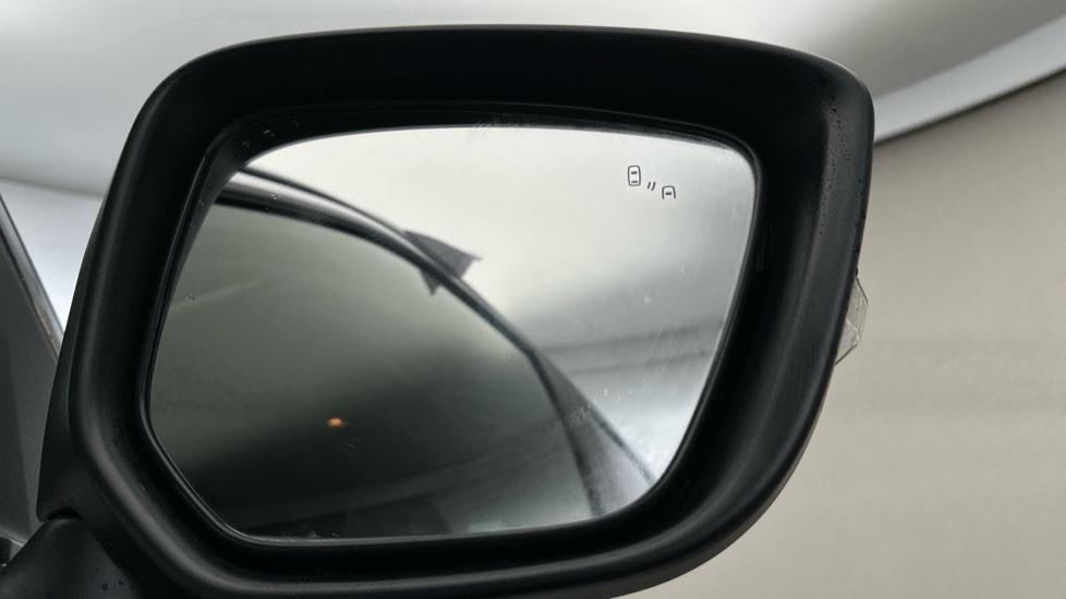 Blind Spot Monitoring System 