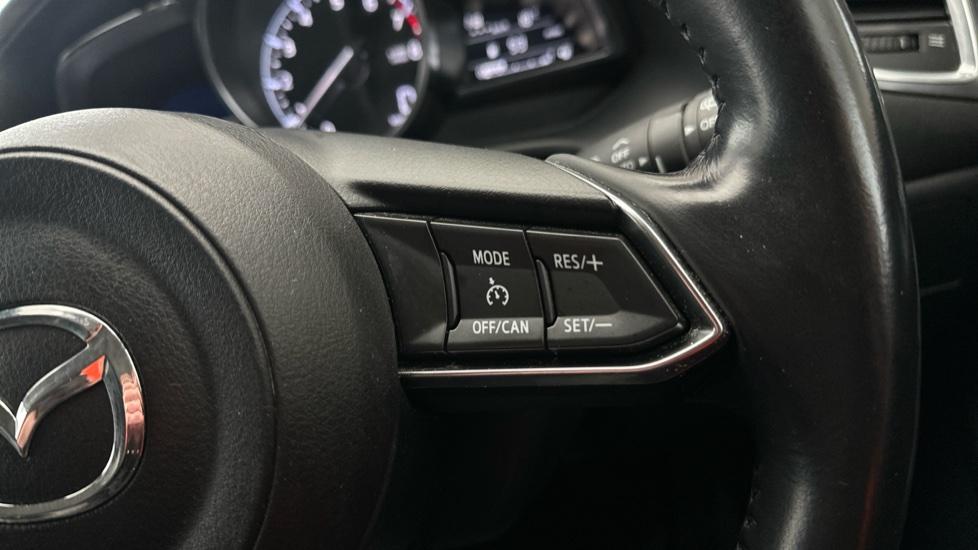 Cruise Control / Speed Limiter 