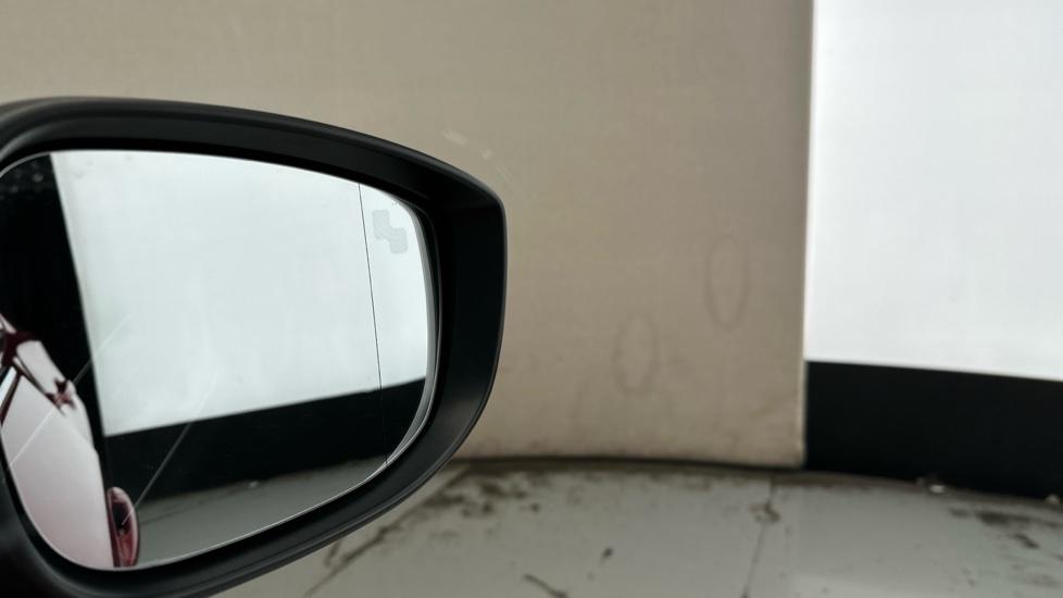 Blind Spot Monitoring System 