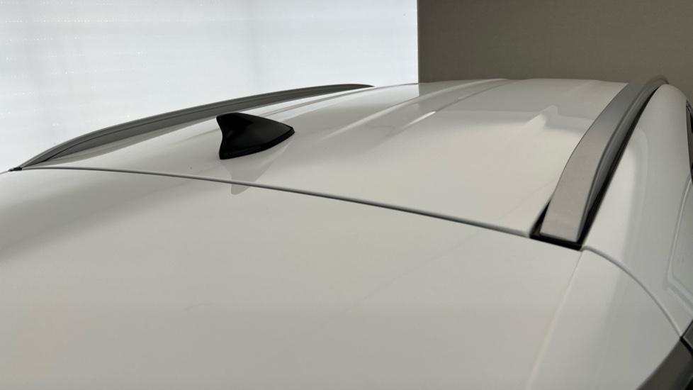 Gallery slide 33