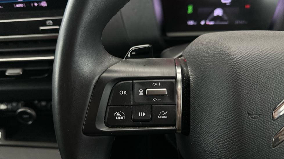 Cruise Control / Speed Limiter /Paddle Shift 