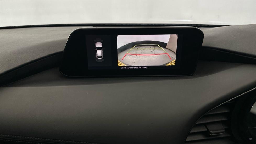 Rear view camera/Park Pilot 