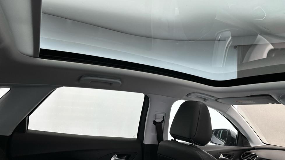 Panoramic Roof