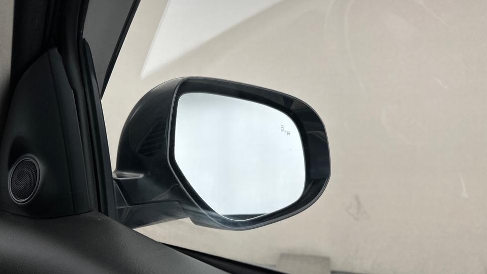 Blind Spot Monitoring System 