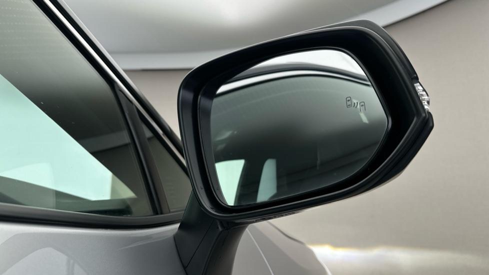 Blind Spot Monitoring System 