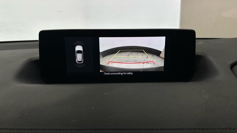 Rear view camera/Park Pilot 