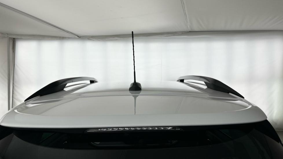 Gallery slide 31