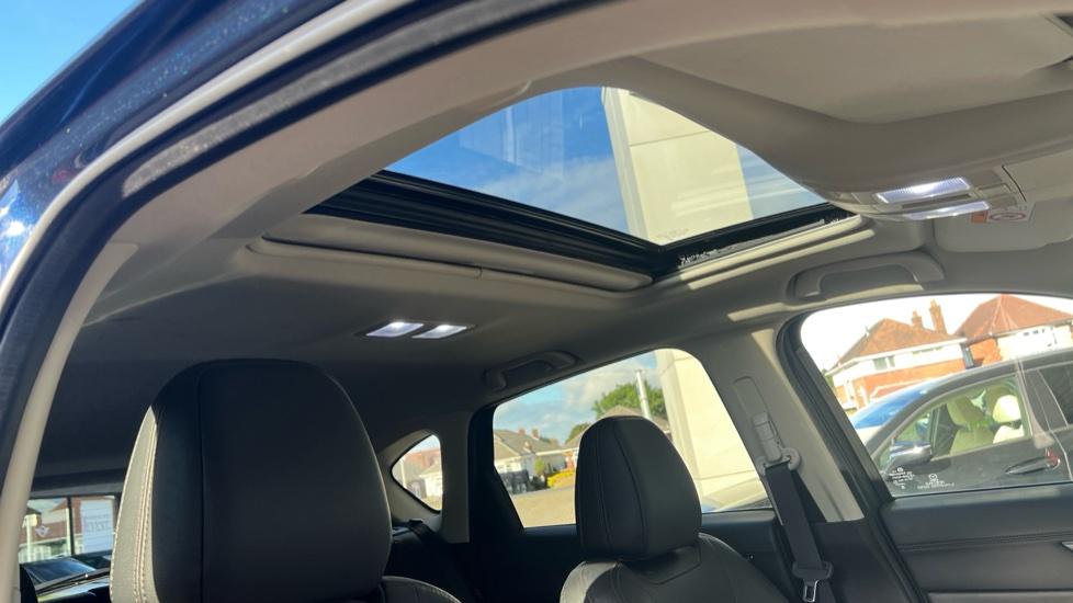 Panoramic Roof